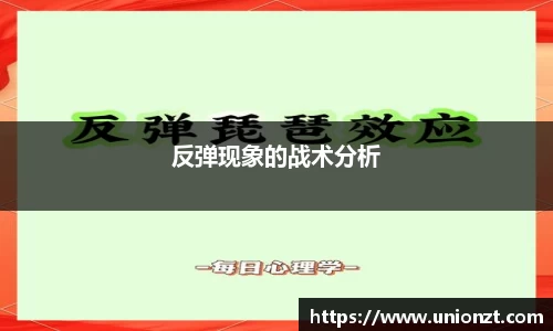 3377官网